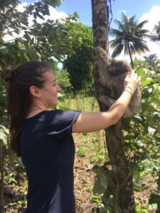 Femme touchant un paresseux sur un arbre | itinerares