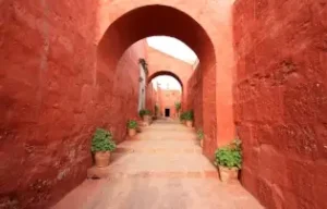 ruelle pavée aux murs rouges et petites plantes vertes sur le sol | itinerares