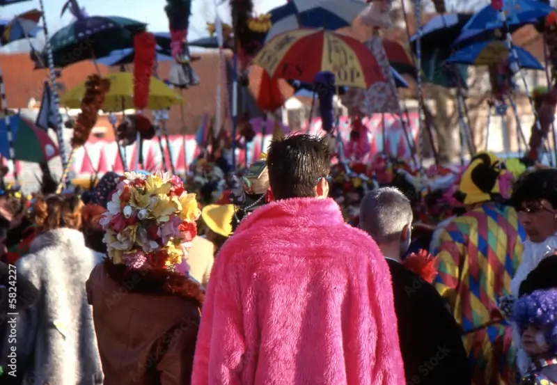 groupement de personnes de dos au carnaval de dunkerque | itinerares