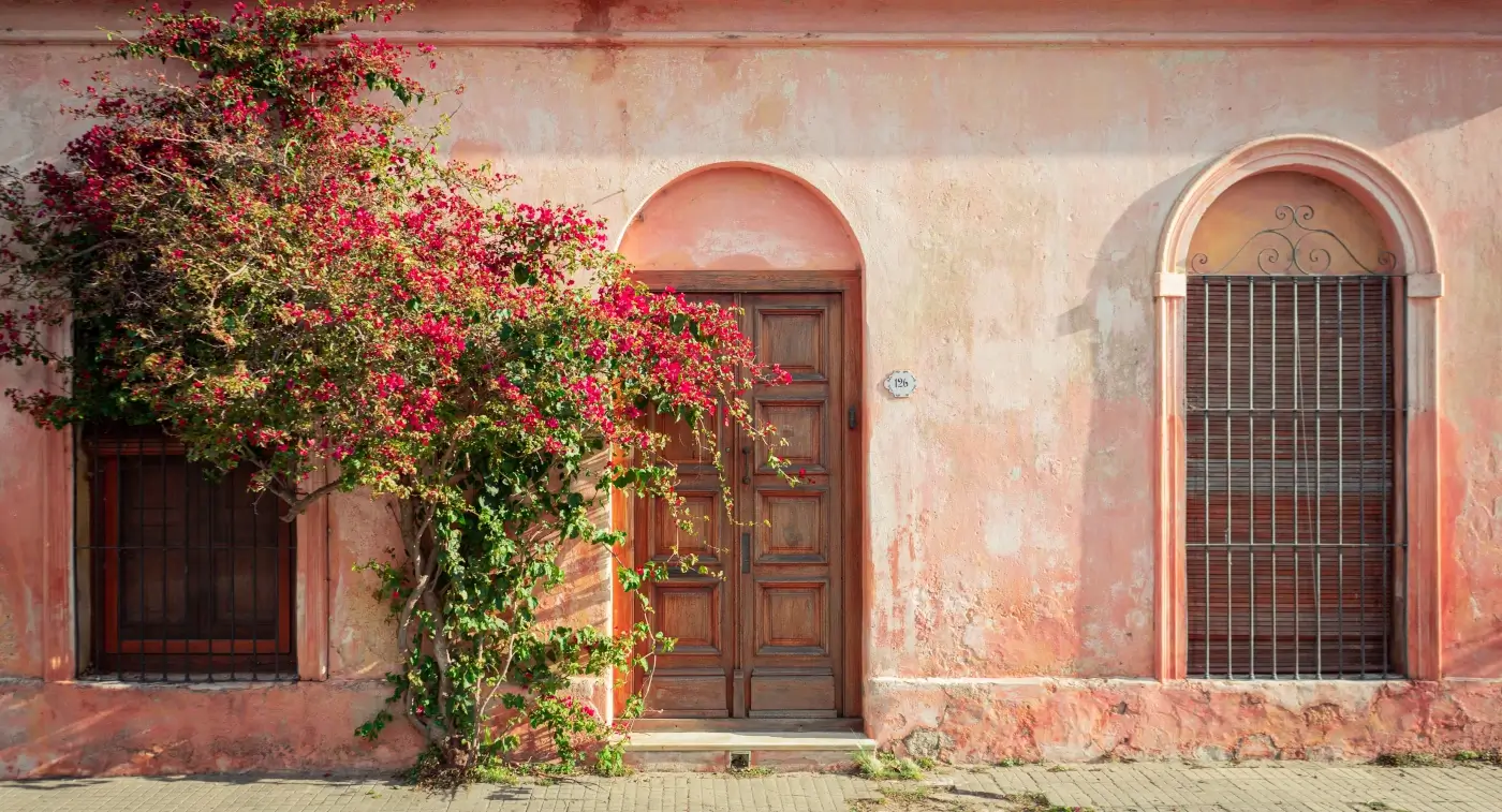 façade de maison rose et bougainvilliers grimpant dessus | itinerares